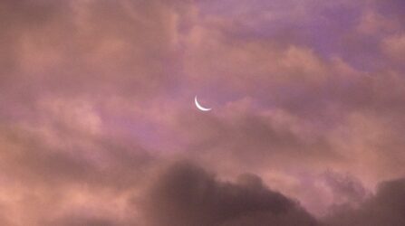 moon on purple sky