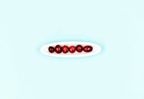 currants on white plate on blue background